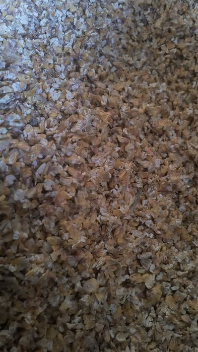 Kukurydza gnieciona płatki