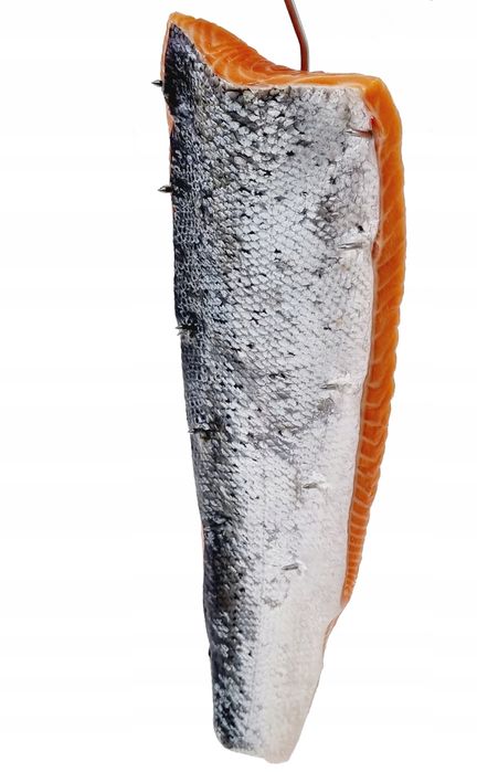 Hak Wędzarniczy Super Smoke do dużych filetów ryb 4mm Premium 33cm