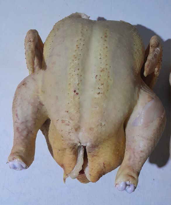 Домашні тушки бройлера