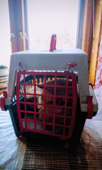 Переноска для кота