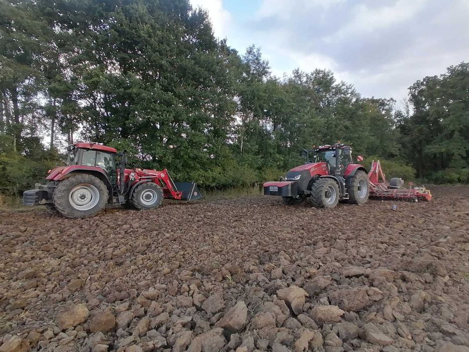 Siew zbóż. Strip till.