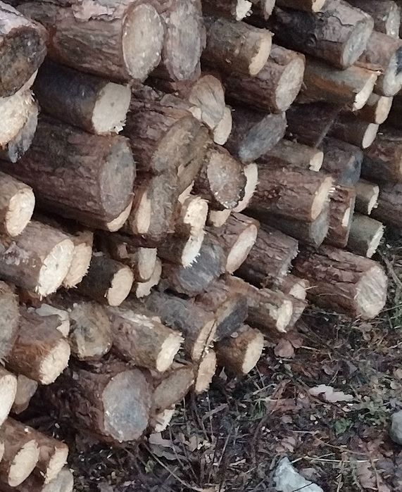 Stemple budowlane długość 2.7metra