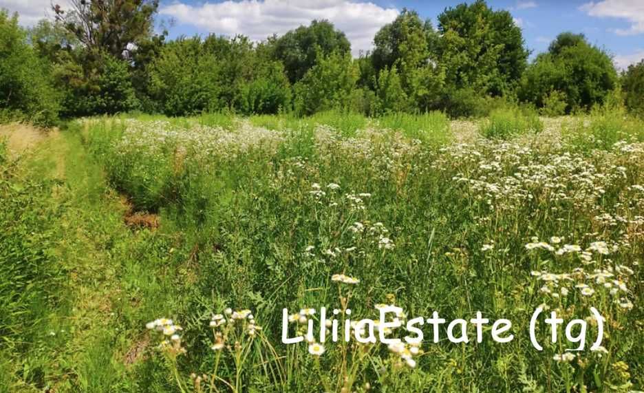 Продажа участка Южное, Південне, Харьков, 30 соток
