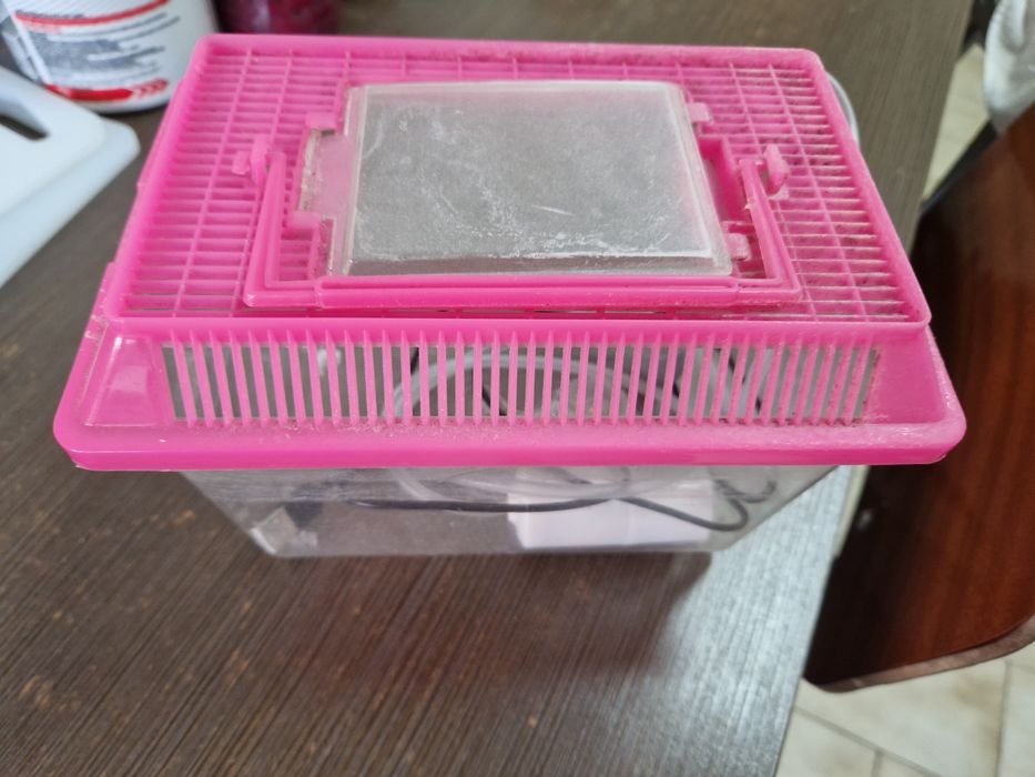 Aquário para peixe pequeno com bomba