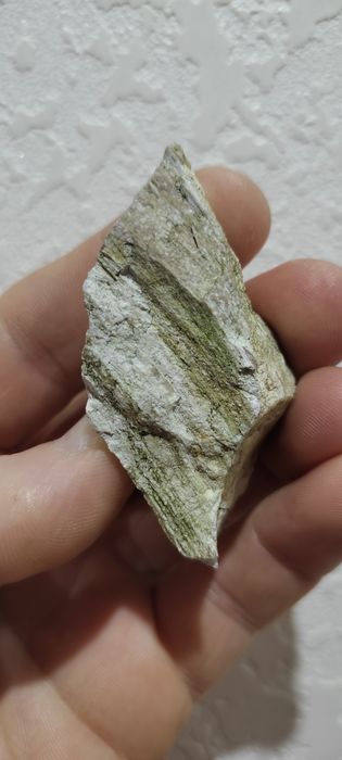 Закамяніле дерево