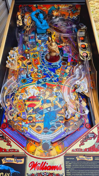 flipper Arabian Nights i The Addams Family - duży wybór zobacz...