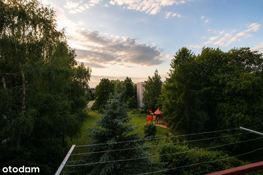 trzy oddzielne pokoje, balkon, dostępne od zaraz