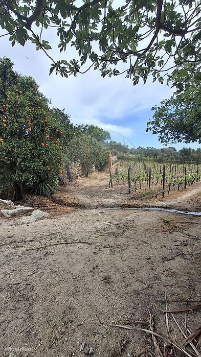 Terreno  para venda