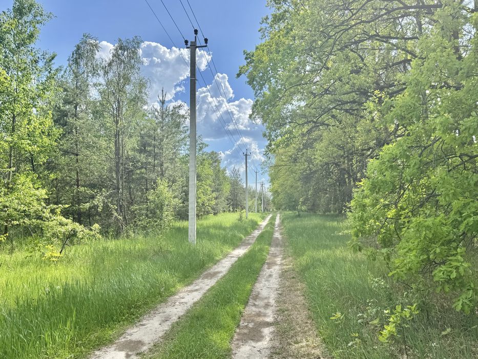 Земля у лісі під забудову Дзвінкове 3,25 га!
