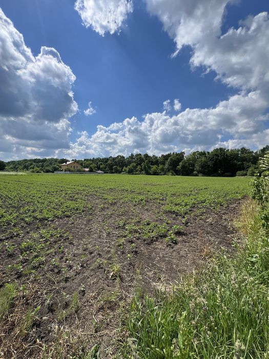 Продаж землі 20 соток, Грузевиця - View 3