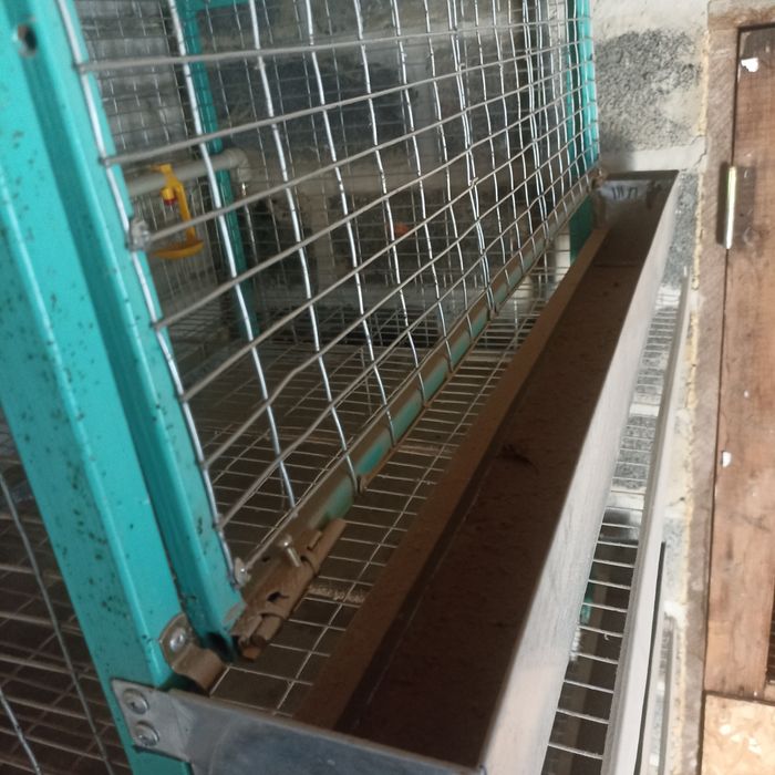 Клетка для кур несушек