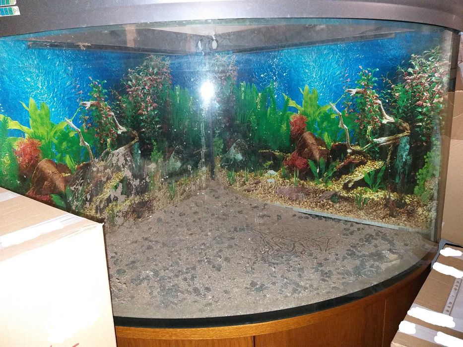 Akwarium terrarium narożne