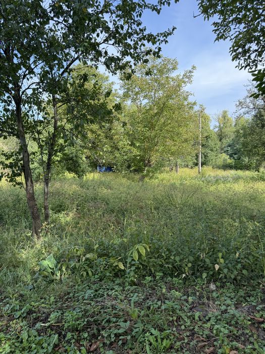 Продам два будинки в с. Сілець