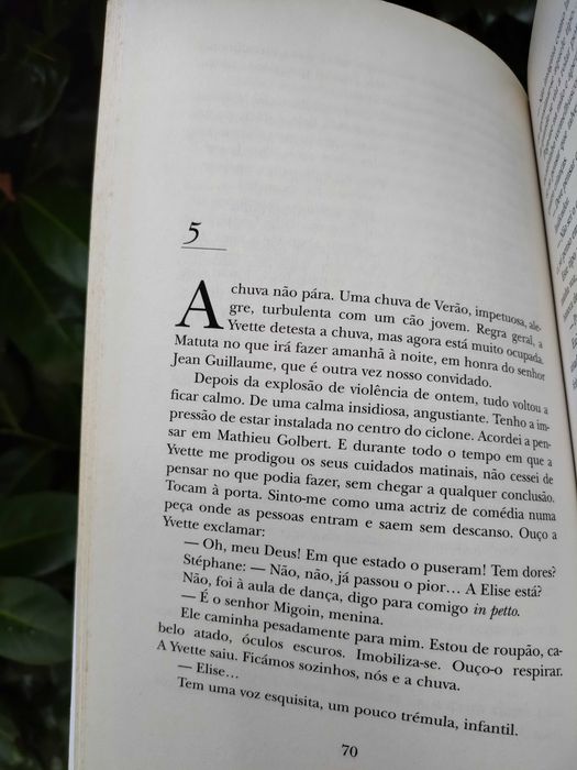 A morte dos bosques (Brigitte Aubert)