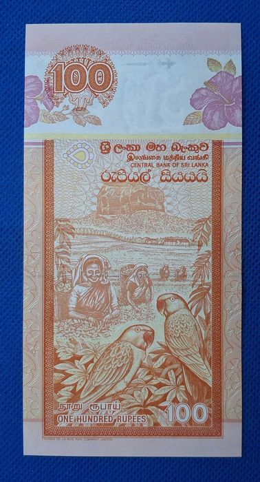 Sri Lanka - 100 rupias 2005 (Nova)