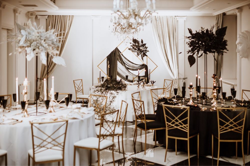 Krzesła Chameleon Wypożyczalnia Dekoracji