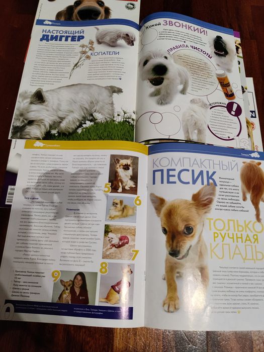 Журнал the dog collection: 200 грн. - Книги / журналы Софиевская