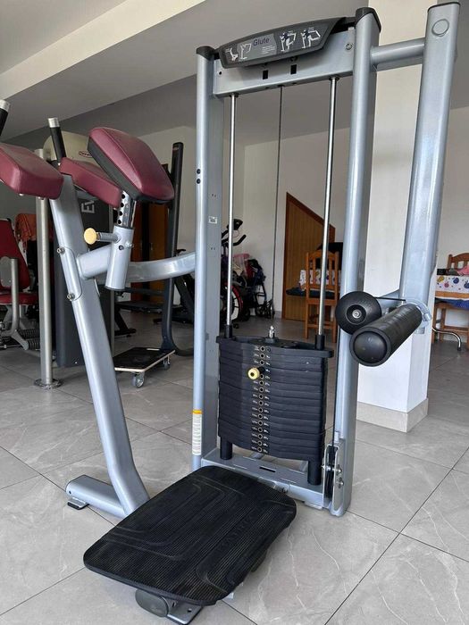 MAQUINA GLUTEOS MATRIX