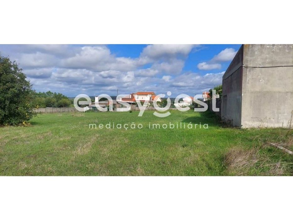 Terreno 3500m2 plano com poço sito em Amor, a poucos kM de Leiria