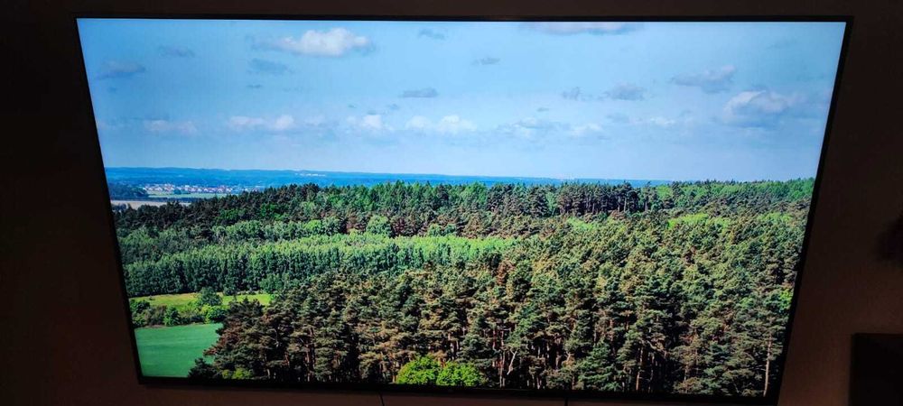 Uszkodzony telewizor 65 cali Xiaomi Mi LED TV 4S 65 Sprawna matryca