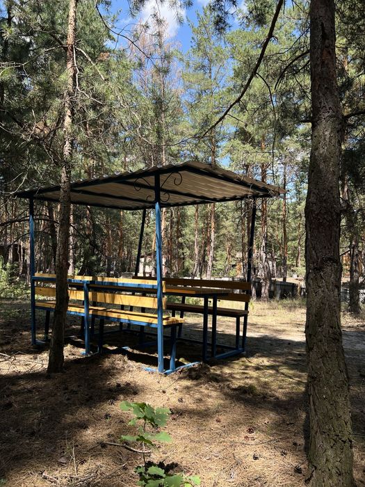 База відпочинку «ДНІПРО» у лісі, біля ріки Орель ПРОДАЖ