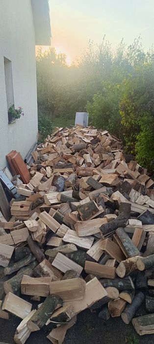 Buk , , Dąb Brzoza Olcha itd  Drewno liściaste