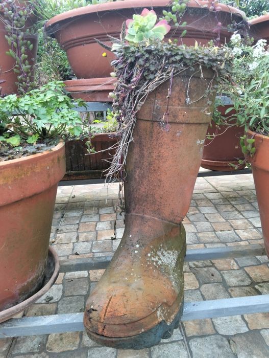 Vasos Improváveis com plantas alusivas pt. 2
