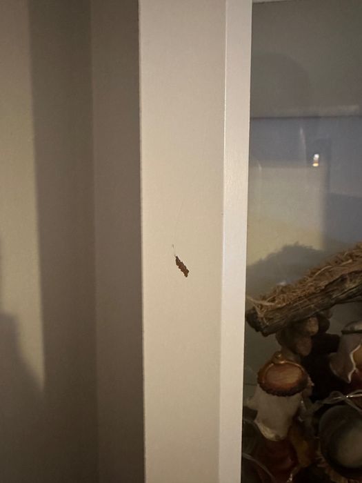Estante BILLY (ikea)