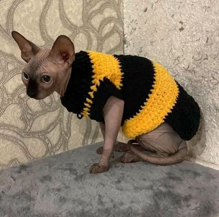 Одежда на кошек, животных, собак, котят, сфинксов