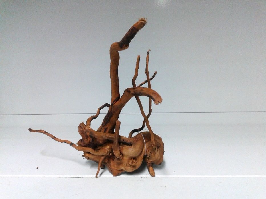 Peixes . Drift wood . Aquário