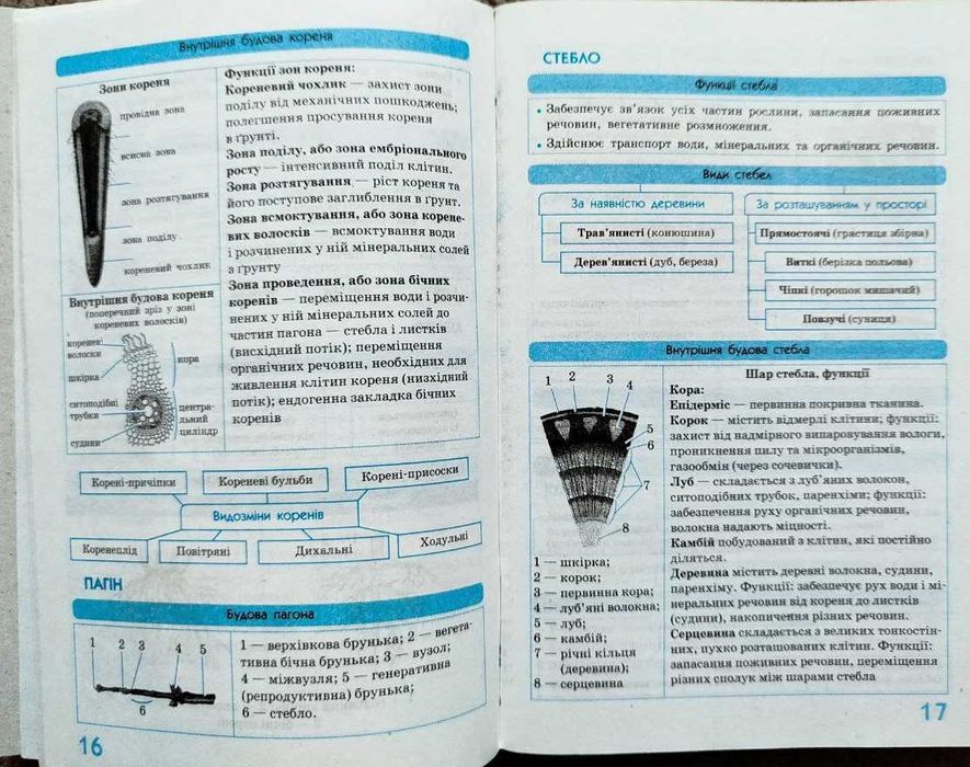 Книга Біологія у визначеннях, таблицях i схемах. 6-11 класи (Рятівник)