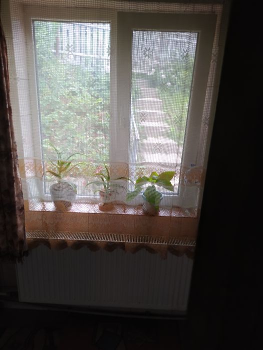 Продаєця будинок с. Орадівка