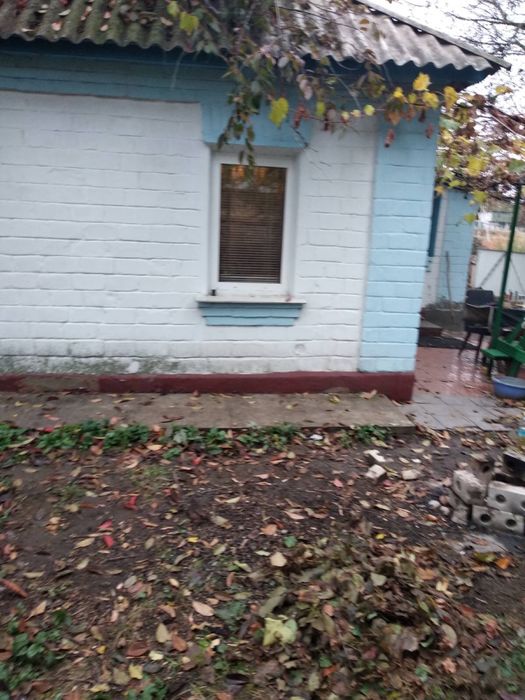 Дом в селі Селище ,Київська обл, Броварський р-он,Баришівська  громада