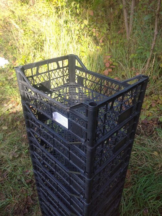 Продам ящик виноградний, стан хороший, незважаючи, на те що ящики б/в