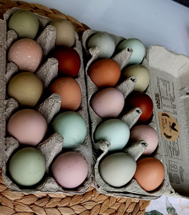 Makaron domowy z wiejskich jajek lub warzywny