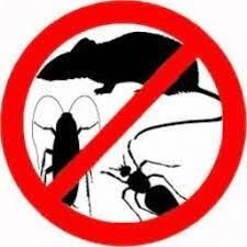 Уничтожение насекомых и грызунов