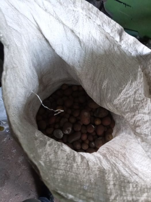 Продам мелкую картошку