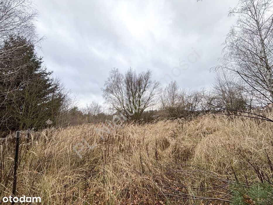 Przestrzeń do życia.