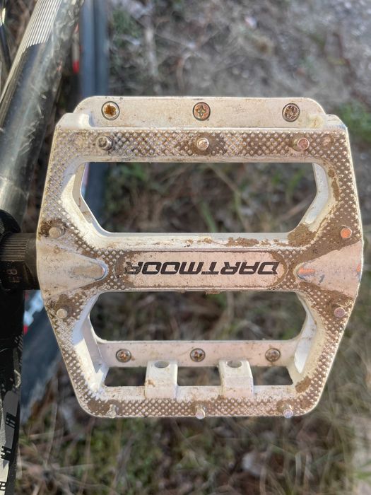 Monster Gravel Carbon, Scott Scale 930, XL