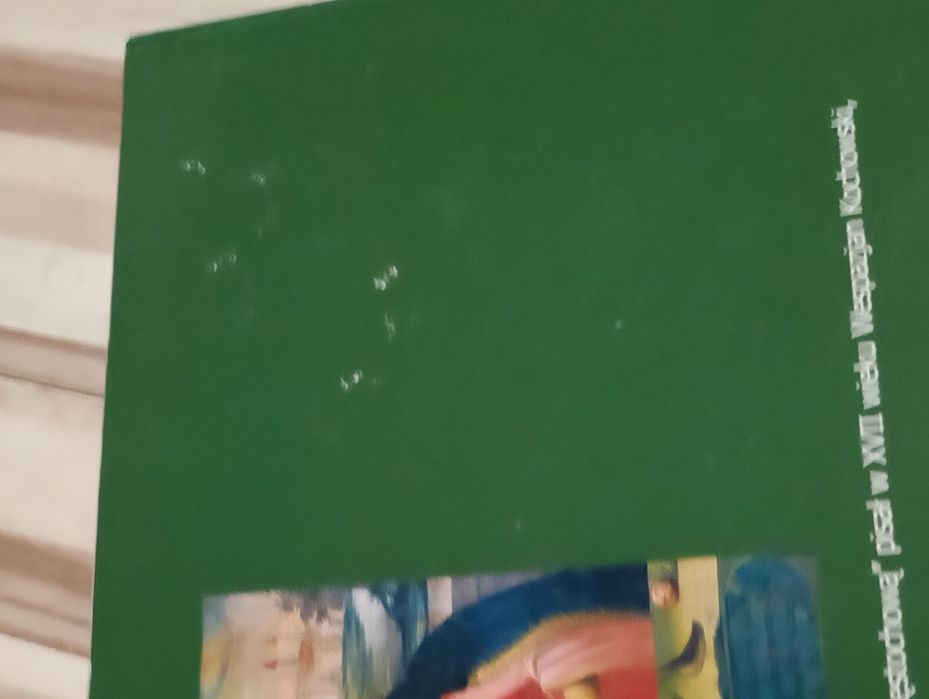 Książka pt. ,,Madonny''  kolekcja ludzie często dzieła