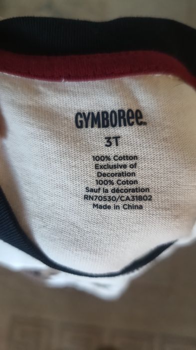 Реглан Gymboree 3T