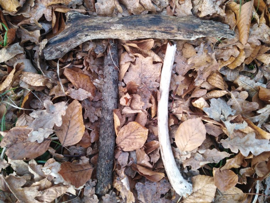 Korepetycje z matematyki