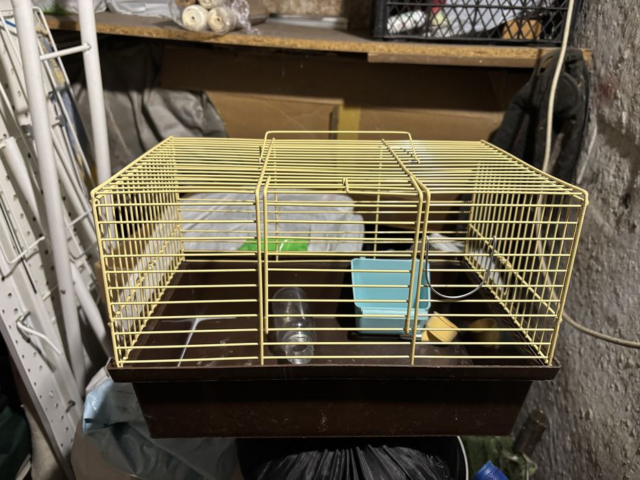 Клітка для гризунів
