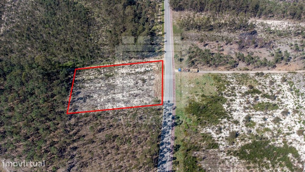 Terreno rústico com 3.810 m2 em Válega — Válega, Aveiro