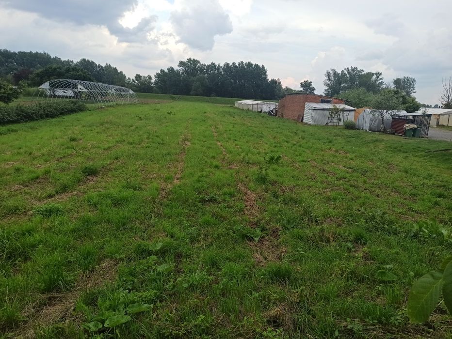 Duża działka rolno- budowlana - Widok 3