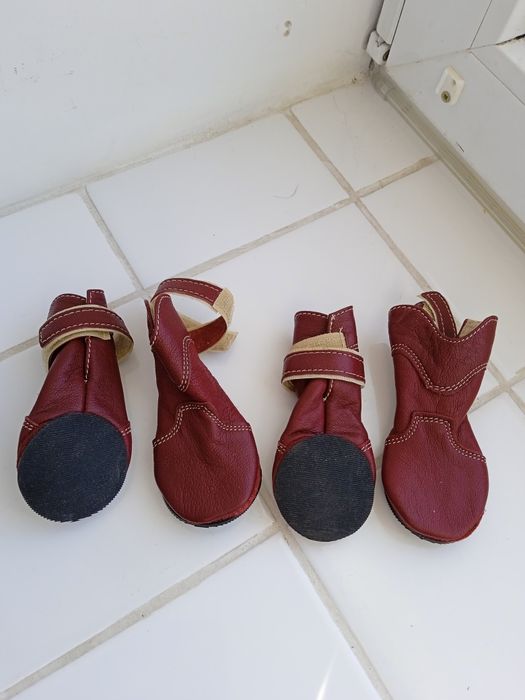 Ошийник для собак та налапники