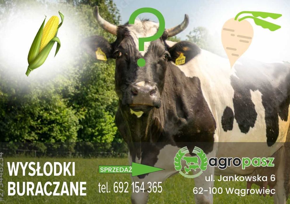 Wysłodki buraczane mokre pasza