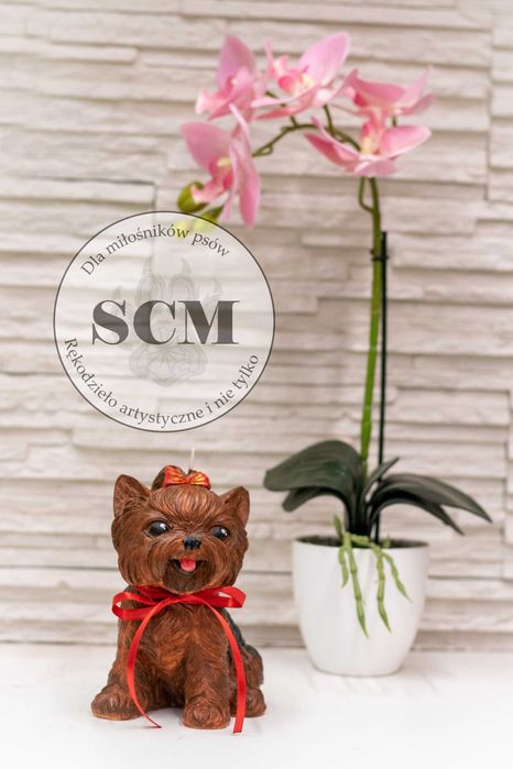 Świeca sojowa piesek Shi Tzu West Cairn Terrier York