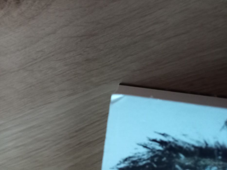 Książka Black Ice Becca Fitzpatrick