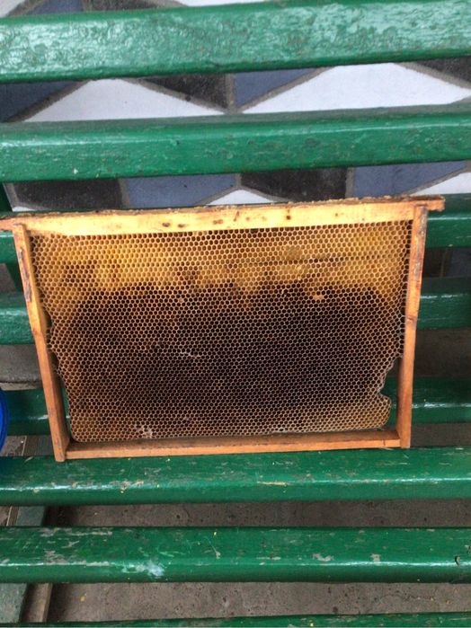 Реалізую бджолорамки.  300.  Дадан.